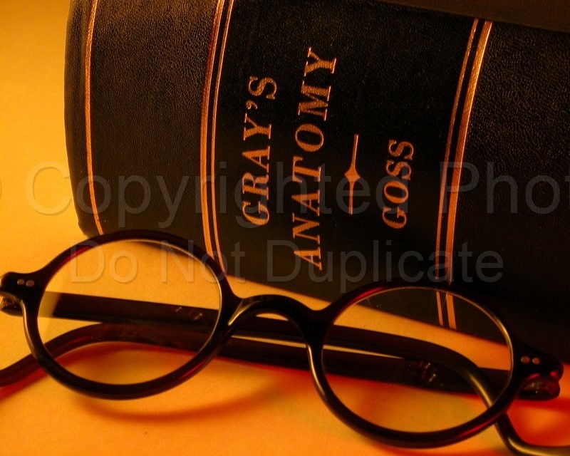 Spectacles spectacles, glasses, eyeglasses, vision, seeing, sight, eyes, anatomy, anatomical, optical, optic, yellow