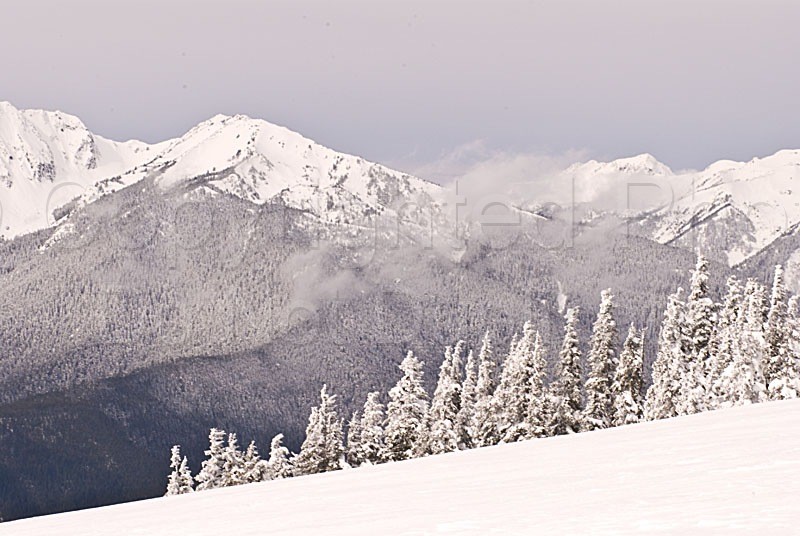 Scapes washington, cascades, mountain, snow, winter, ice, icy, travel, landscape, wilderness, nature, natural