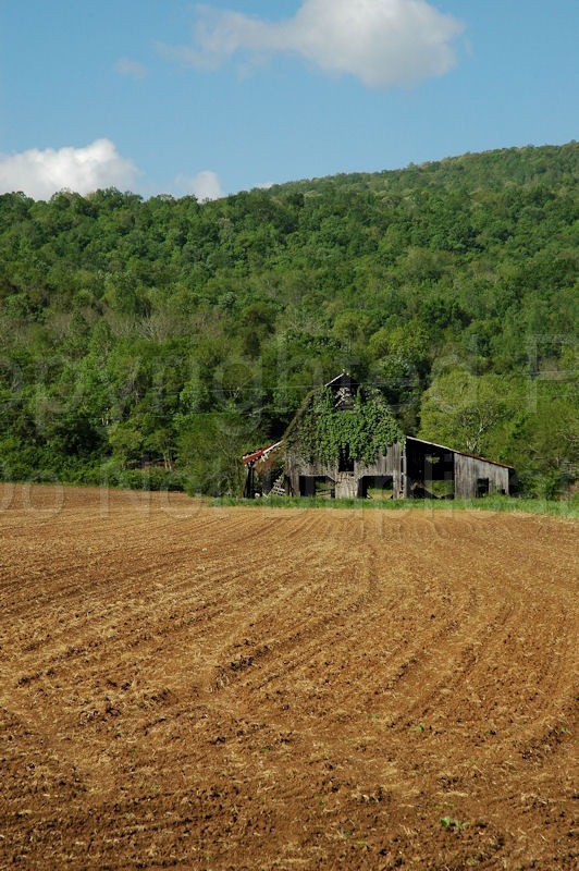 Scapes farm, farming, barn, plow, crops, hills, retro, antique, old, passing, aging, agriculture, landscape